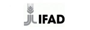 IFAD